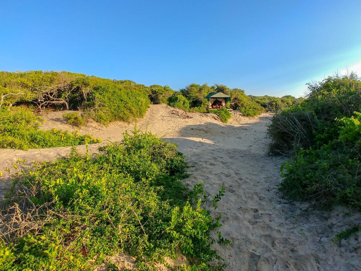 Back Of Beyond Dune Camp Яла Екстериор снимка